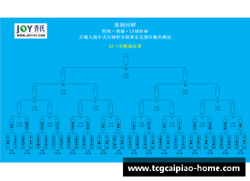 tcg彩票官方网站西班牙取得胜利，晋级欧洲杯16强：战斗精神的完美诠释 - 副本