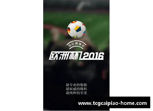 tcg彩票官方网站埃里温之战意大利-淘汰奥地利，欧洲杯四分之一决赛晋级 - 副本