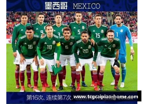 tcg彩票官方网站捷克国家队取得重大胜利，捷克球员再次展现出色